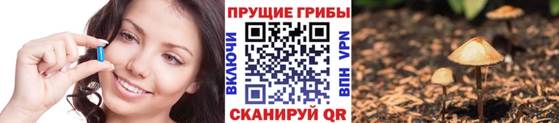 Псилоцибиновые грибы Cubensis  Купить  Кизел 